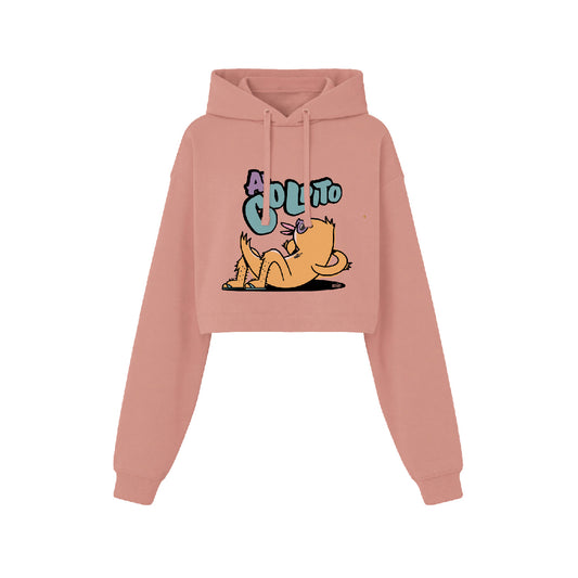 Sudadera Crop Rosa Vintage "Al Golpito" Opción 1